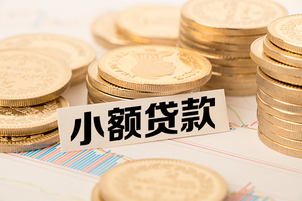 成都新津区小额贷款当天放款-成都新津区哪里可以信用贷款-成都新津区民间借贷
